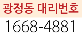 광정동 대리번호