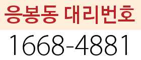 응봉동 대리번호