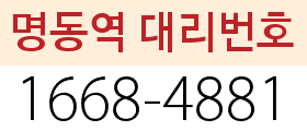 명동역 대리번호